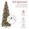 Best Choice Products Pre-Lit Partially Flocked Pencil Christmas Tree w/ 2-in-1 Multicolor Lights